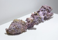 PICNIC_VOL_1_2026/IMG_9755