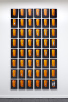 PICNIC_VOL_1_2026/IMG_9789