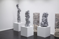 PICNIC_VOL_1_2026/IMG_9838