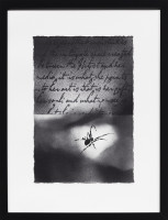 PICNIC_VOL_2_2026/IMG_0009