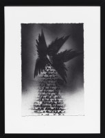 PICNIC_VOL_2_2026/IMG_0011