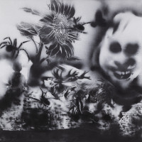 PICNIC_VOL_2_2026/IMG_0093