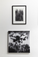 PICNIC_VOL_2_2026/IMG_0127