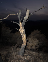 PLVIRANTA_HARRI/Harri_Plviranta_Burn_index_korea_37_118x91cm_flat