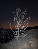 PLVIRANTA_HARRI/Harri_Plviranta_Burn_index_rhodes_67x_55x43cm