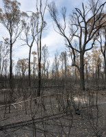 PLVIRANTA_HARRI/australia__46_118x91cm