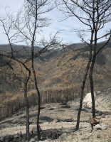 PLVIRANTA_HARRI/korea_01_55x43cm_flat