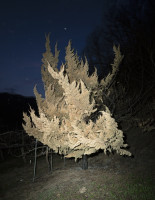 PLVIRANTA_HARRI/korea_19_118x91cm_flat
