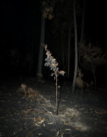 PLVIRANTA_HARRI/portugal_11_1_55x43cm_flat