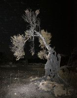 PLVIRANTA_HARRI/rhodes_12x_43x55cm