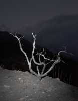 PLVIRANTA_HARRI/tenerife_x16_55x43