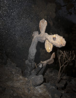 PLVIRANTA_HARRI/tenerife_x23_55x43cm