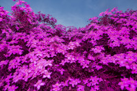 SOININEN_SARI/Soininen_TCM_01_ulottuvuus_28