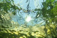 SOININEN_SARI/Soininen_ulottuvuus_48