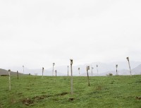 antas/2008/STRUCTURES-FOR-BIRDS-FIELD