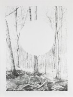 antas/2017/AXEL_ANTAS_FOREST_AND_ELLIPSE_OBSCURED_2016