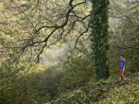 brotherus/2012/LAutomne-2_RGB_300dpi_15cm