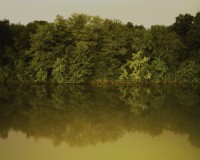 brotherus/2012/La-riviere-2_RGB_300dpi_15cm