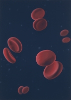 enkenberg/2019/Blood-Brothers