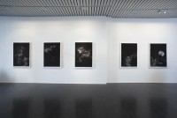 gaal/2009/GalleriaHeino045