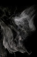 gaal/2009/Miklos-Gaal-HEY-HOMER-2009-