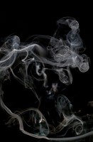 gaal/2009/Miklos-Gaal-HEY-HOMER-2009