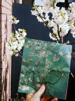 gaal/2021/33---Almond-Blossom-and-Cherry-Blossom