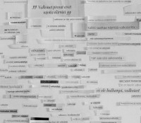 haaslahti/2013/Eimitaanturhaa_2013_web
