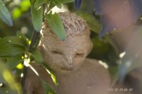 hamm/2009/HAMM_KAMANGER_savipatsas-22