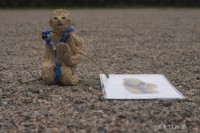 hamm/2009/HAMM_KAMANGER_savipatsas-6