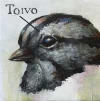 heimonen/2026/SAMULI_HEIMONEN_TOIVO_2026