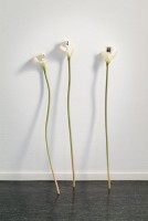 jamsa/2006/jamsa06_335x500