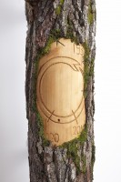 karsi/2021/JOUNA_KARSI_KARSIKKO_2021_1