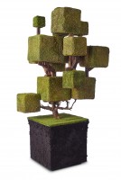 karsi/2021/JOUNA_KARSI_SUKUPUU_2021_1