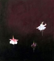 kivikoski-veijalainen/2008/Kivikoski-Veijalainen_15