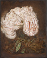 korpela/2025/IMG_7298