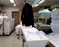 kuchka/2008/HETA--KUCHKA---TUOMO---PAAVO-2008