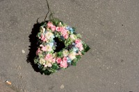 kuchka/2008/HETA-KUCHKA----TUOMO--PAAVO-2008