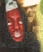 lukkarinen/2007/SteelVagina3