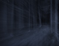 luukkola/2009/luukkola_forest-cover