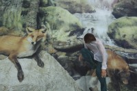 majuri/2012/SUSANNA_MAJURI_FOX_2011