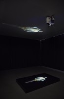 majuri/2016/IMG_2717