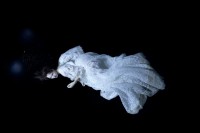 majuri/2016/SUSANNA_MAJURI_elise_2016