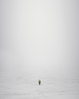 parkkinen/2019/New_departure_press