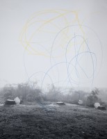 parkkinen/7_Growth_ring_lowres