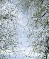 parkkinen/spring_of_our_lives/04_spring-of_our_lives_sami_parkkinen