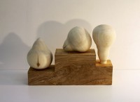 pohjola_m/2009_art_helsinki/MIKAEL-POHJOLA-3-PAARYNAN-MUOTOISTA-2009