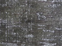 raatikainen/2011/Minor-alignments--yksityiskohta