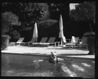 schultz_2016/SCHULTZPandaInThePool3