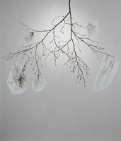 soderlund/2006/soderlund_5